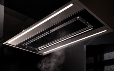 Introducing Schweigen IN.